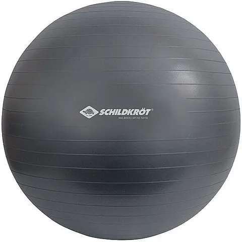 SCHILDKRÖT Gymnastikball 85cm grau B – Bild 2