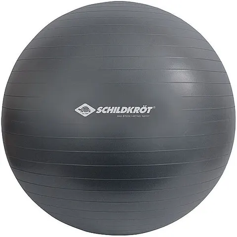 SCHILDKRÖT Gymnastikball 75cm grau B – Bild 2
