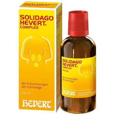 Solidago Hevert Complex Tropfen – Bild 2