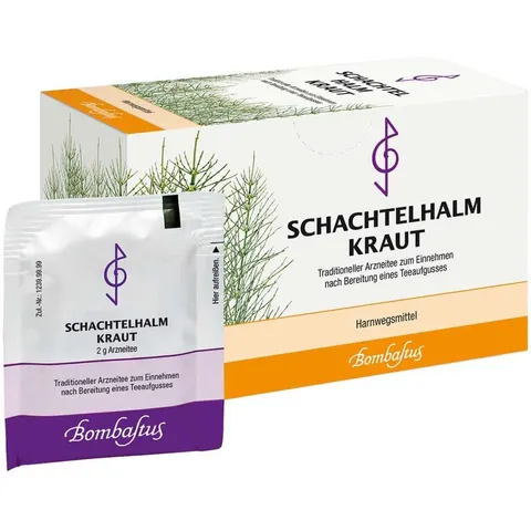 Schachtelhalmkraut Bombastus – Bild 2