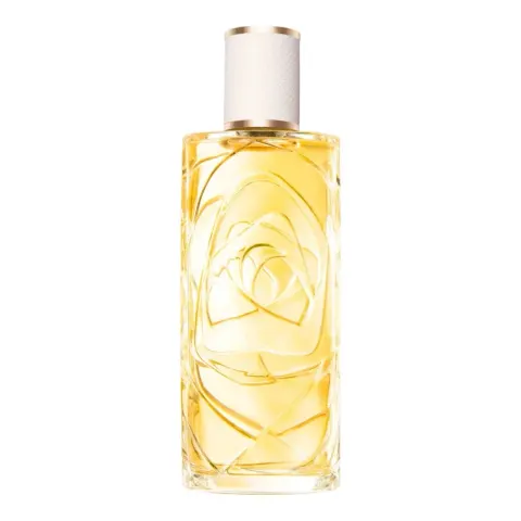 Ô Zénith 100 ml – image 3