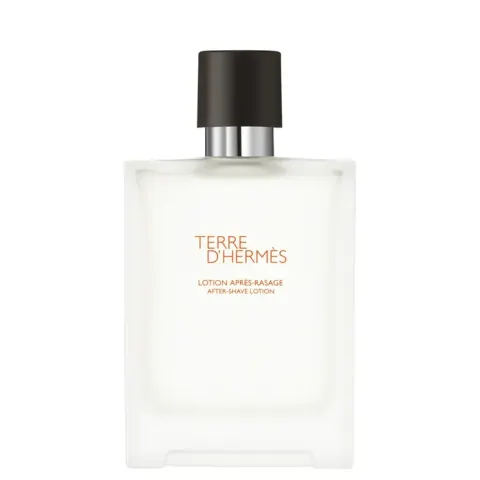 Terre D'Hermès Aftershave Lotion 100 ml – image 2