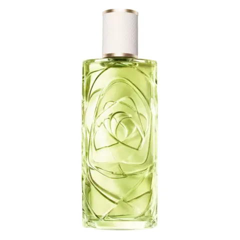 Ô Off Now 125 ml – 100ml – image 5