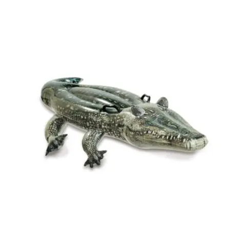 Alligator à chevaucher - Intex – image 2