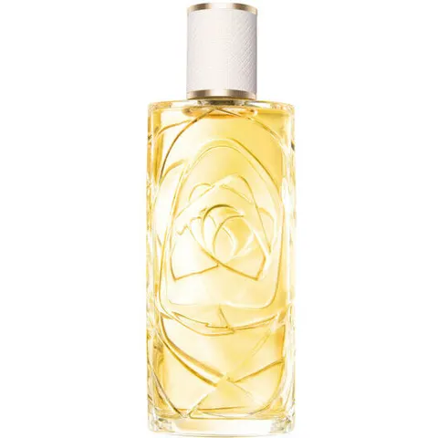 Ô Zénith 100 ml – image 5