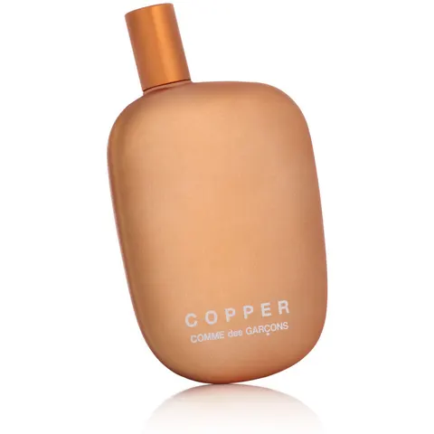 COMME des GARCONS Copper Eau de Parfum (Unisexe) 100 ml – image 2