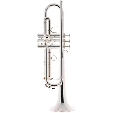 "Schagerl ""1961"" Bb-Trumpet B2N S " – image 2