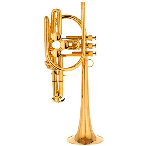 Schagerl Raweni Bb-Trumpet GP – image 2