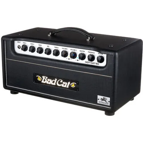 Bad Cat Mod Shop Hot Cat 50 Head – image 2