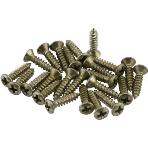 Fender Roadworn Pkgrd Plate Screws – image 2