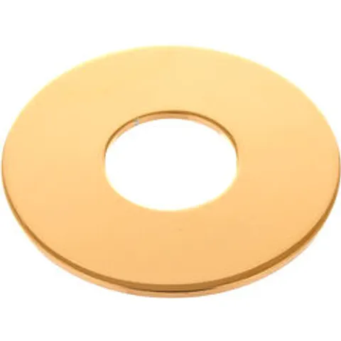 Schaller Toggle Switch Plate G – image 2