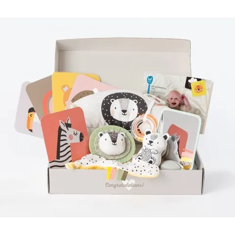 Coffret naissance - Taf Toys – image 2