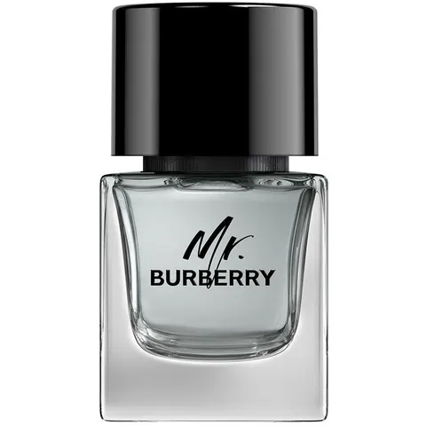 Mr Burberry – image 5
