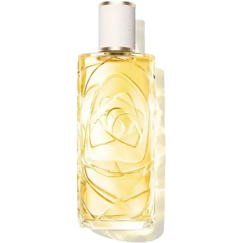 Ô Zénith 100 ml – image 2