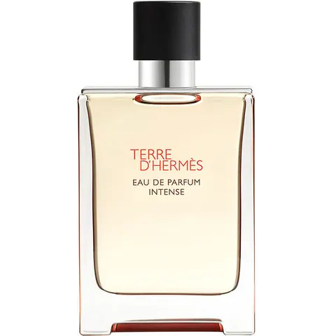 Terre d'Hermès Intense – 100ml – image 4