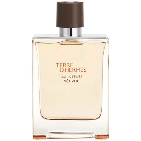 Terre D'Hermès Eau Intense Vétiver – 100ml – image 2