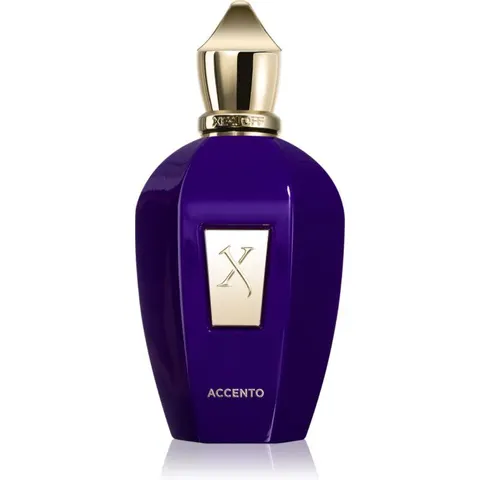 Xerjoff Accento Eau de Parfum mixte 100 ml – image 2