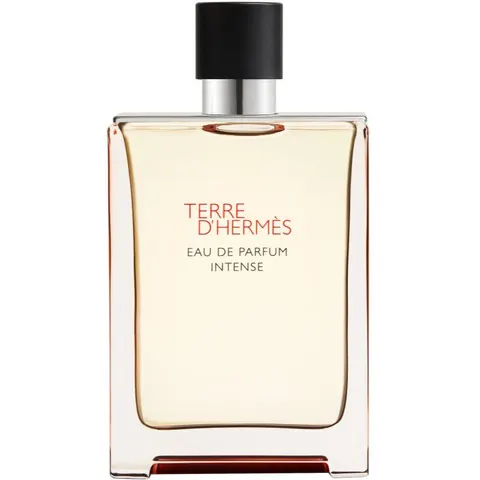 Hermès - Terre D'hermès - Eau De Parfum Intense - 175ml – image 3