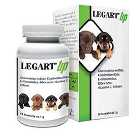legart Up 60Compresse – immagine 5