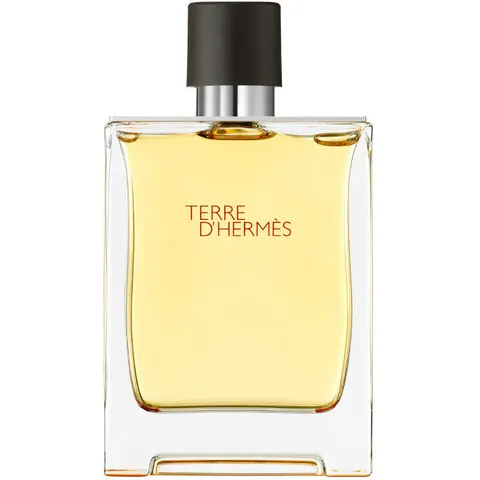 Hermès Terre D'hermes Parfum 200 ML – immagine 5