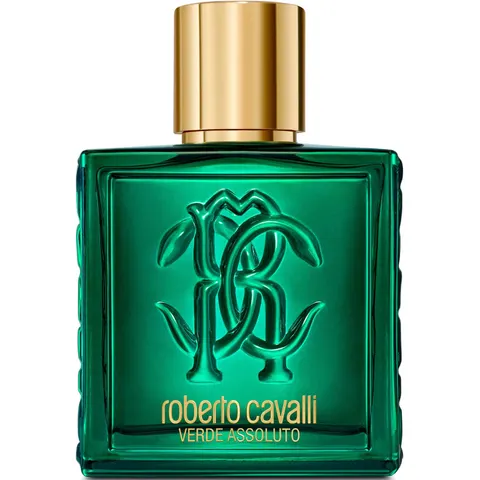 Roberto Cavalli Uomo Verde Assoluto - 100 ML – immagine 5