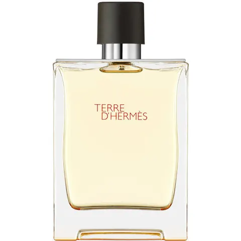 Hermès TERRE D'HERMÈS Eau de Toilette – trasparente 200ml – immagine 5