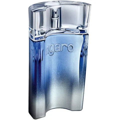 Emanuel Ungaro Man - 90 ML – immagine 3