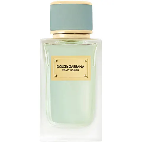 Dolce&Gabbana Infusion - 100 ML – immagine 2