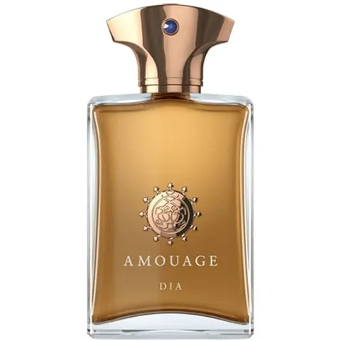 Amouage Dia Man - 100 ML – immagine 2