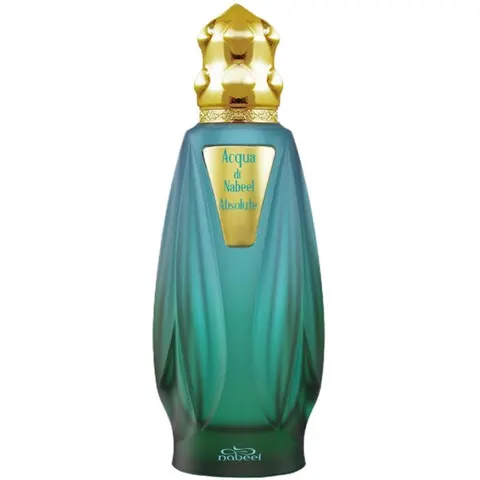 Nabeel Acqua di Nabeel Absolute - 100 ML – immagine 3