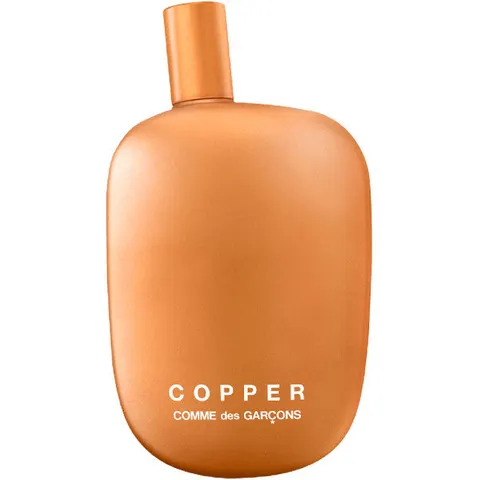 Comme des Garçons Comme des Garçons Copper - 100 ML – immagine 2