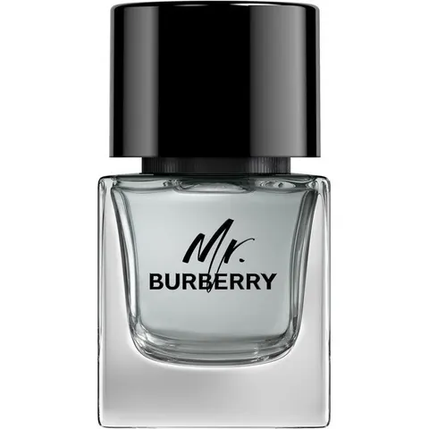 Burberry Mr Eau De Toilette 50 ML – immagine 4