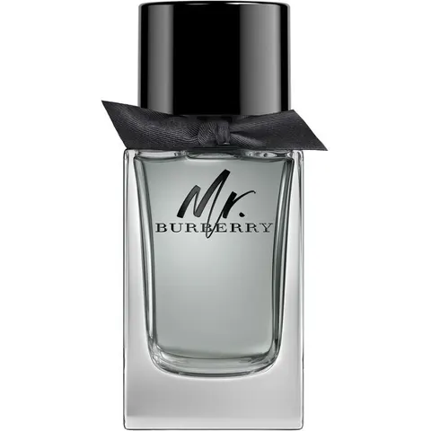 Burberry Mr Eau De Toilette 100 ML – immagine 4