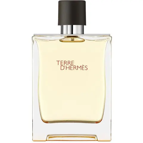 Hermès TERRE D'HERMÈS Eau de Toilette – trasparente 200ml – immagine 4