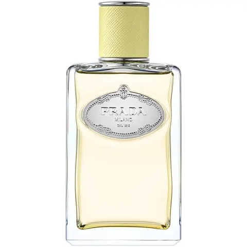 Prada Infusion de Gingembre Eau de Parfum 100mL – immagine 2