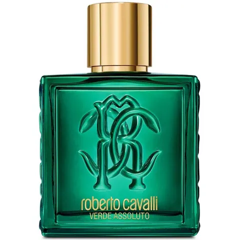 Roberto Cavalli Uomo Verde Assoluto - 100 ML – immagine 4
