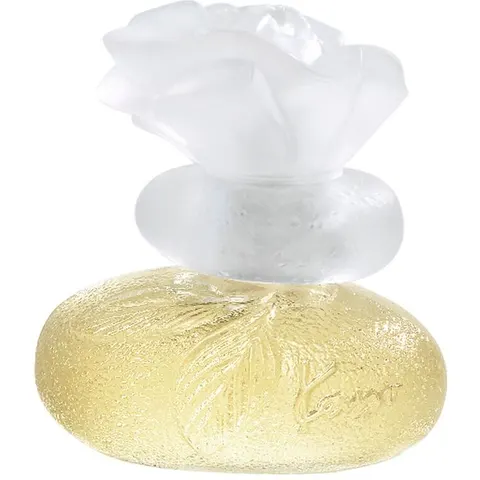 Kenzo Le Monde Est Beau - 50 ML – immagine 3