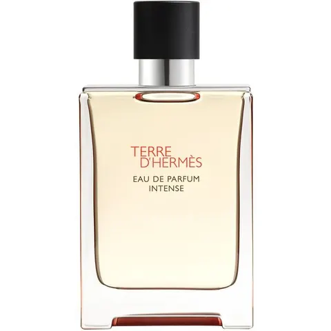 Hermès TERRE D'HERMÈS Eau De Parfum Intense – trasparente 100ml – immagine 3