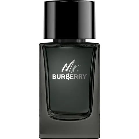 Burberry Mr. Eau De Parfum 100 ML – immagine 3