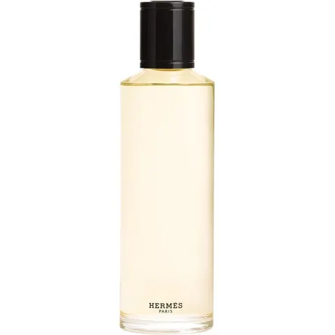 Hermès TERRE D'HERMÈS Eau De Parfum Intense – trasparente 200ml – immagine 4