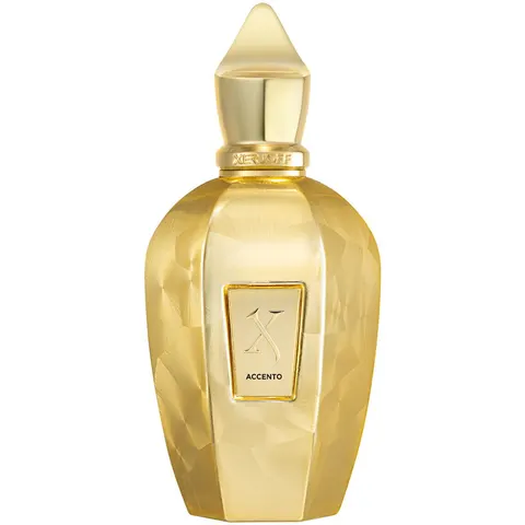 100ml XERJOFF Vibe ACCENTO OVERDOSE Eau de Parfum – immagine 3