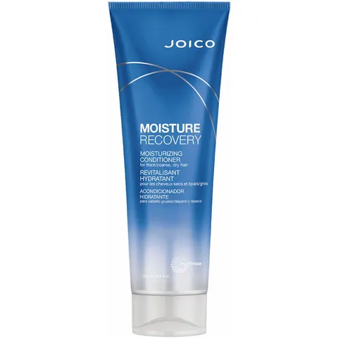 250ml JOICO MOISTURE RECOVERY Moisturizing Conditioner – immagine 2