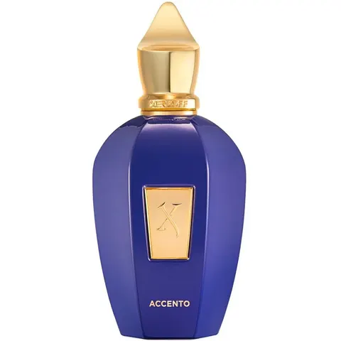 Xerjoff Accento Eau de Parfum 100mL – immagine 3