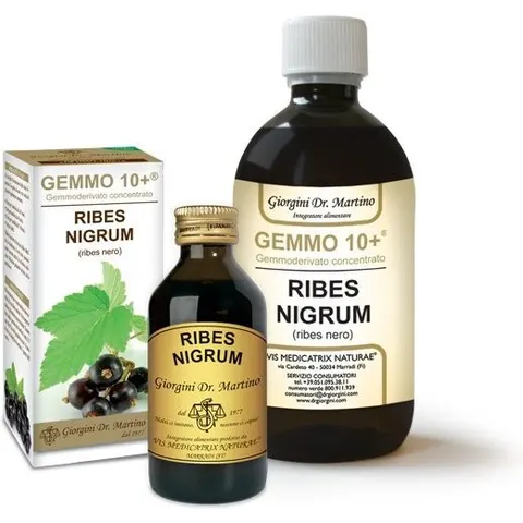 giorgini Ribes nero gemme 10+100ml gmg – immagine 2