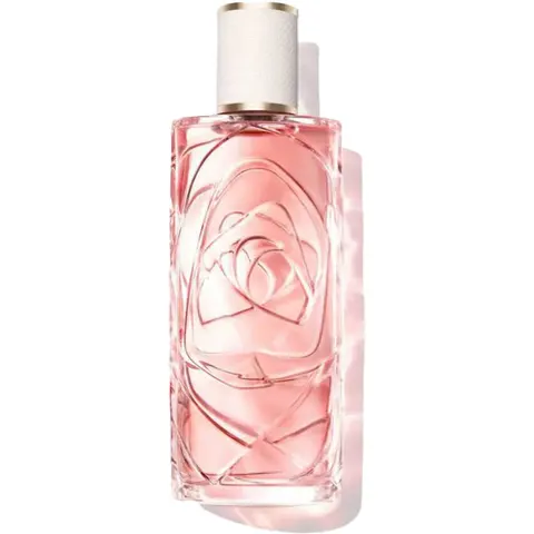 Lancome Ôver The Top - 100 ML – trasparente 100ml – immagine 5