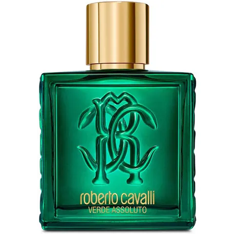 Roberto Cavalli Uomo Verde Assoluto - 100 ML – immagine 3