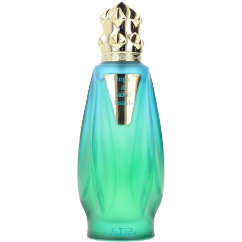 Nabeel Acqua di Nabeel Absolute - 100 ML – immagine 2