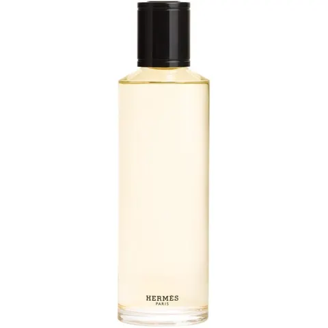 Hermès TERRE D'HERMÈS Eau De Parfum Intense – trasparente 200ml – immagine 2
