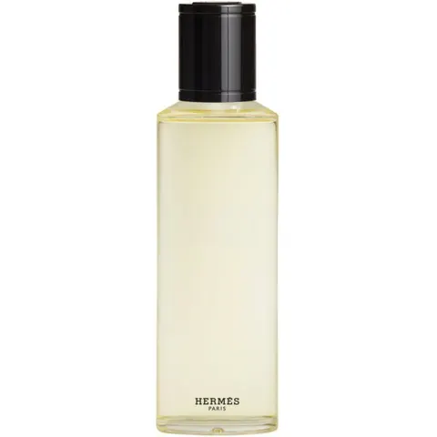 Hermès Terre D' Eau Givrée Eau De Parfum 200 ML – immagine 2