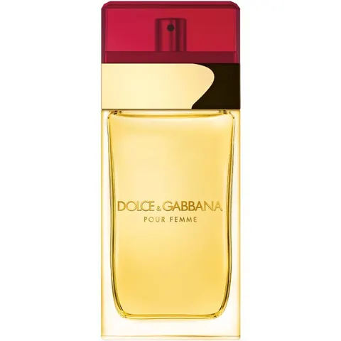 Dolce&Gabbana Eau De Toilette 100 ML – immagine 4